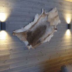 Ume utelampe lys Opp og Ned Mørkgrå IP65